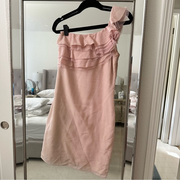 Lela Rose One Shoulder Chiffon Mesh Wool Ruffle Blush Pink Dress size 6 - Picture 2 of 5